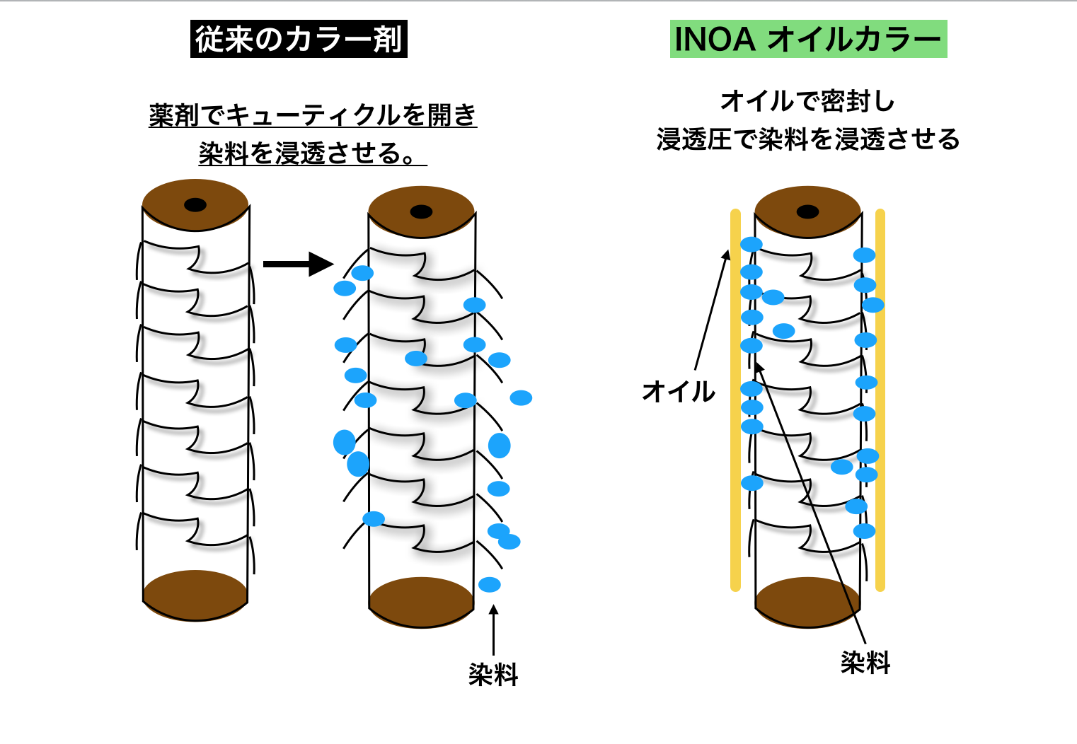 オイルカラー Inoa イノアカラーで染める新しい時代 Oda のブログ