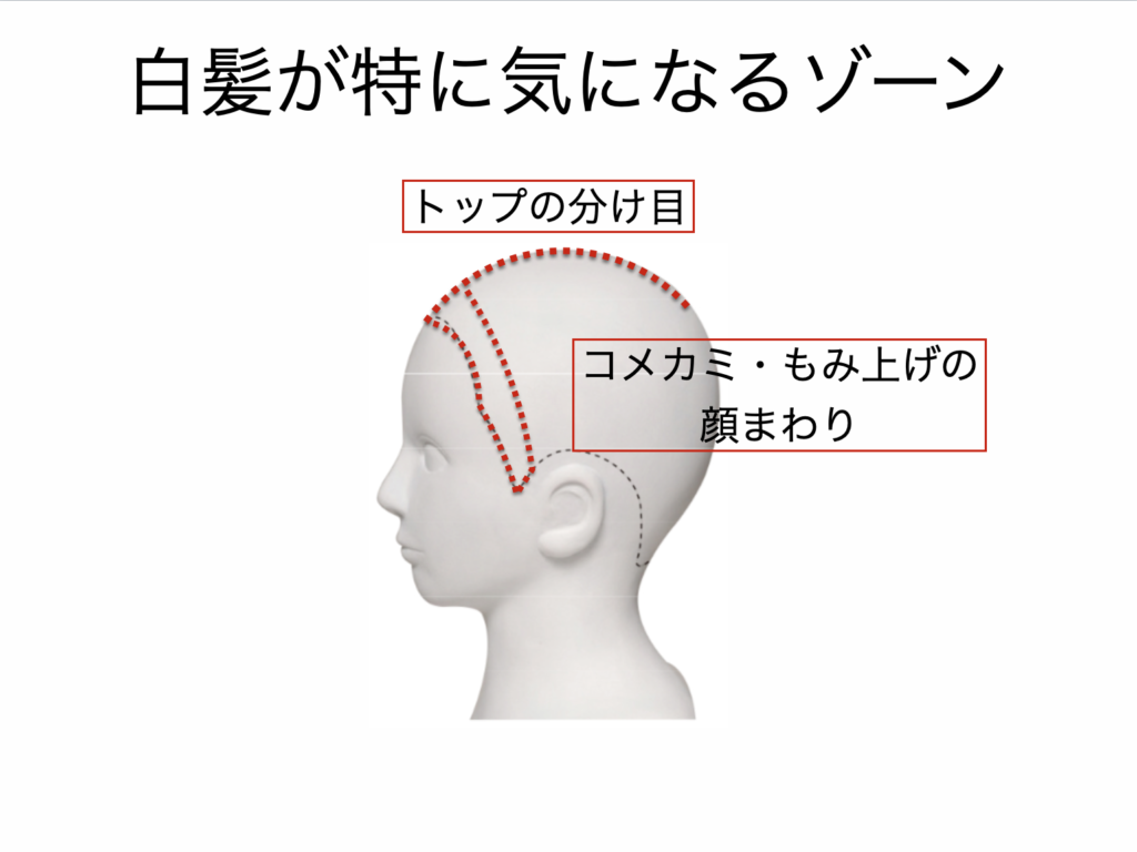 カミノダチblog